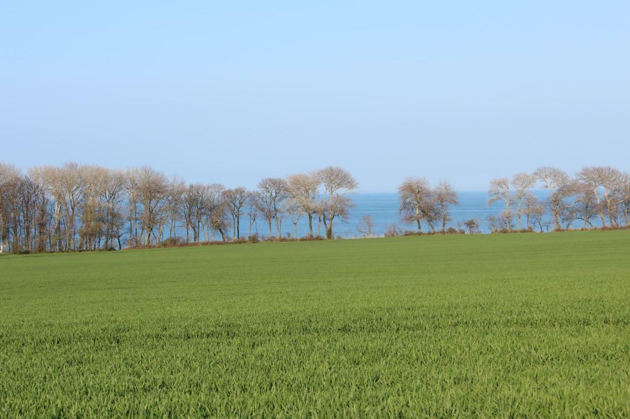 Ferienwohnungen Am Museumshof Fehmarn Esterno foto